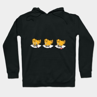 The Faces of Little Tiger Dude Hoodie